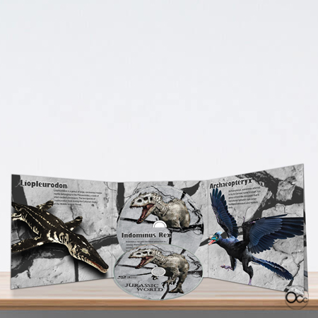 CD Packaging open Small Size