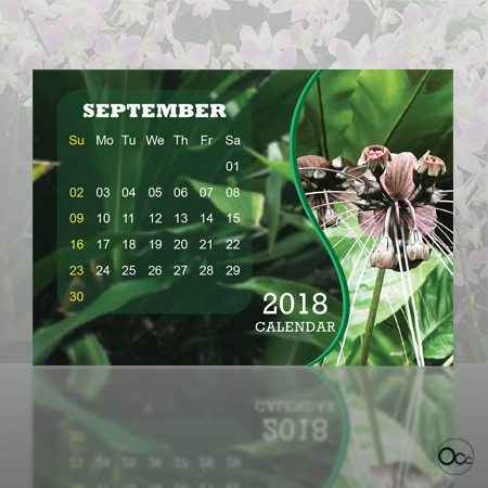 Calendar Ochard Sep Small size